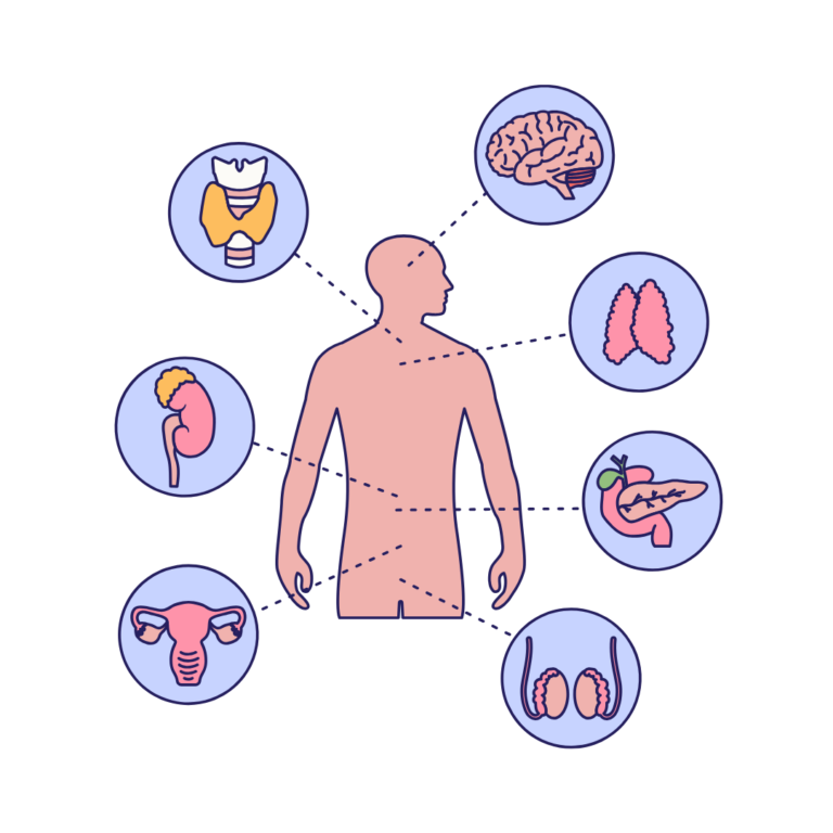 Internal medicine
